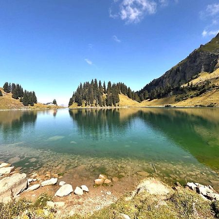 Alpine Dream Chalet With Spa Close To Lake Geneva Les Mosses Eksteriør billede