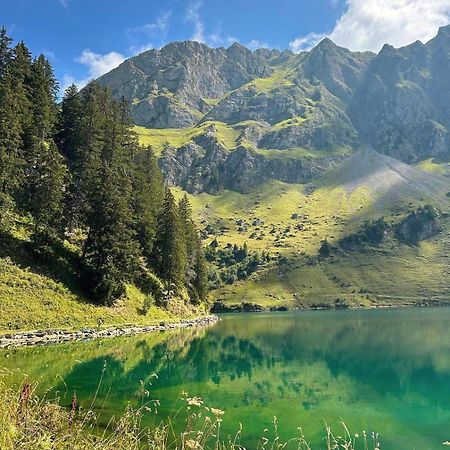 Alpine Dream Chalet With Spa Close To Lake Geneva Les Mosses Eksteriør billede