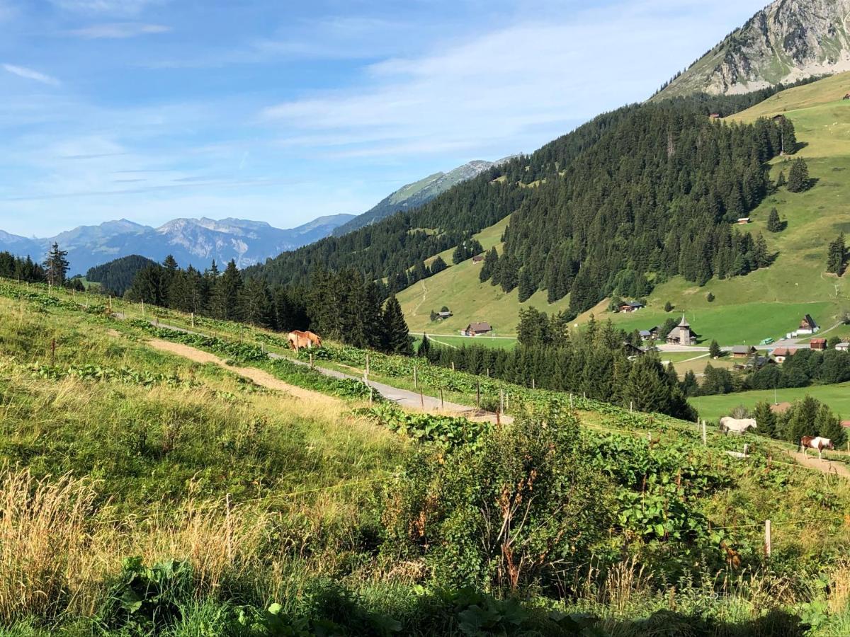 Alpine Dream Chalet With Spa Close To Lake Geneva Les Mosses Eksteriør billede