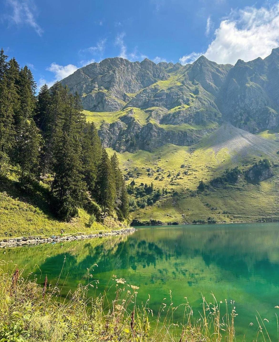 Alpine Dream Chalet With Spa Close To Lake Geneva Les Mosses Eksteriør billede
